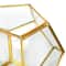 Gold Octagon Glass Terrarium By Ashland&#x2122;